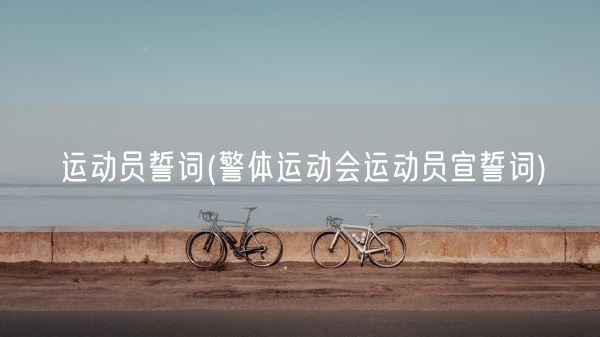 运动员誓词(警体运动会运动员宣誓词)(图1)