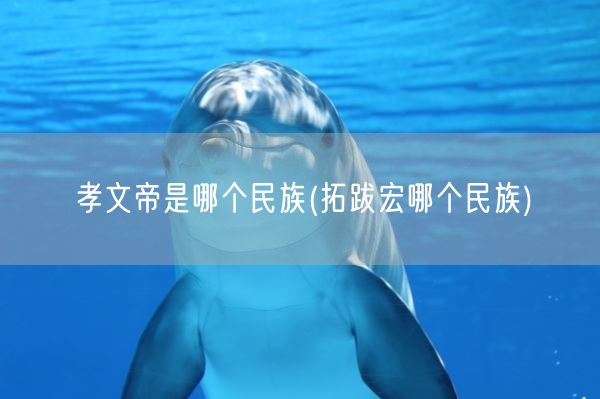 孝文帝是哪个民族(拓跋宏哪个民族)(图1)