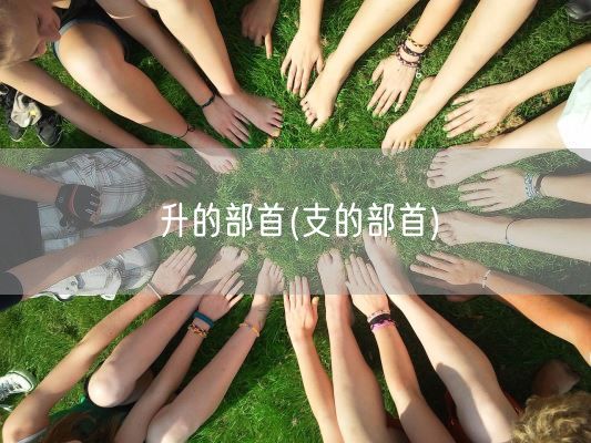 赛尔号最新任务(赛尔号日常)(图1)