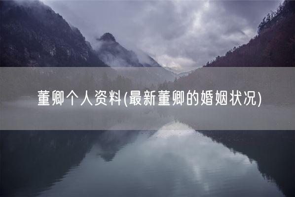 董卿个人资料(最新董卿的婚姻状况)(图1) 董卿个人资料(最新董卿的婚姻状况)(图1)