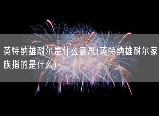 英特纳雄耐尔是什么意思(英特纳雄耐尔家族指的是什么)(图1)