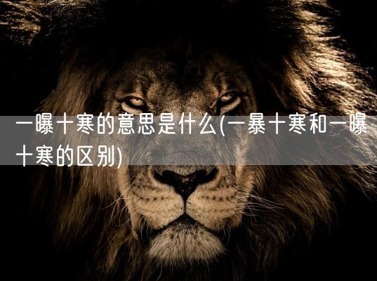 一曝十寒的意思是什么(一暴十寒和一曝十寒的区别)(图1)