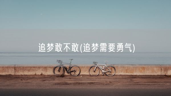 追梦敢不敢(追梦需要勇气)(图1)