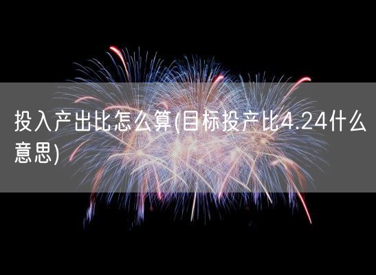 投入产出比怎么算(目标投产比4.24什么意思)(图1)