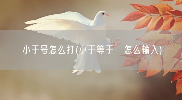 小于号怎么打(小于等于≤怎么输入)(图1)