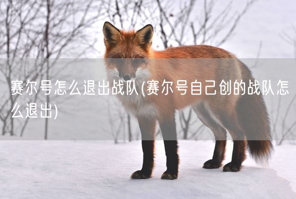 赛尔号怎么退出战队(赛尔号自己创的战队怎么退出)(图1)