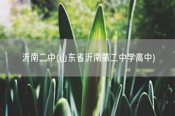 沂南二中(山东省沂南第二中学高中)(图1)