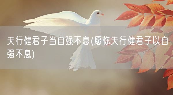 天行健君子当自强不息(愿你天行健君子以自强不息)(图1)