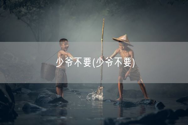 少爷不要(少爷不要)(图1)