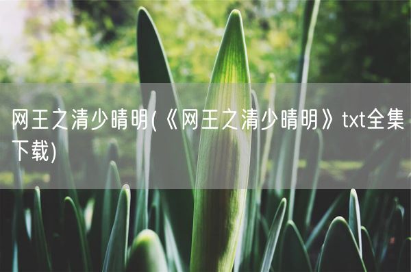 网王之清少晴明(《网王之清少晴明》txt全集下载)(图1)
