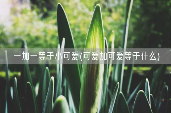 一加一等于小可爱(可爱加可爱等于什么)(图1)