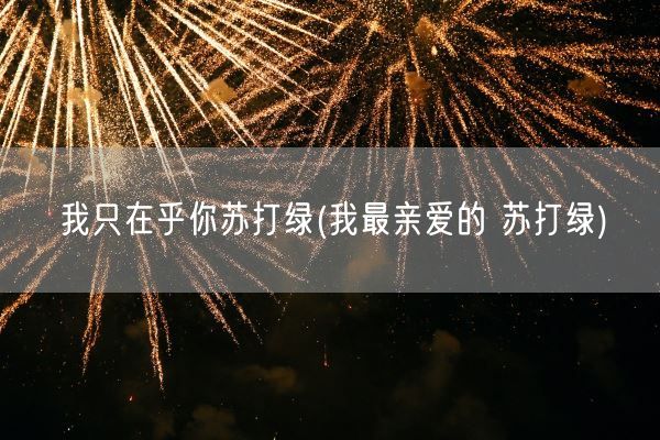 我只在乎你苏打绿(我最亲爱的 苏打绿)(图1)