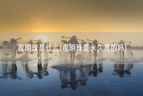 夜明珠是什么(夜明珠是永久亮的吗)(图1)