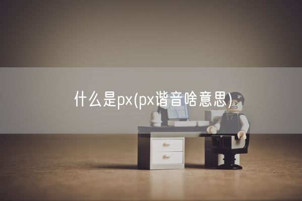 什么是px(px谐音啥意思)(图1)