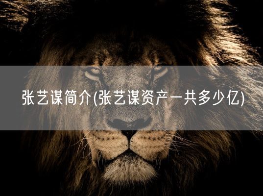 张艺谋简介(张艺谋资产一共多少亿)(图1)