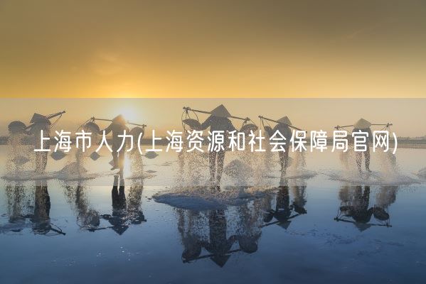 上海市人力(上海资源和社会保障局官网)(图1)