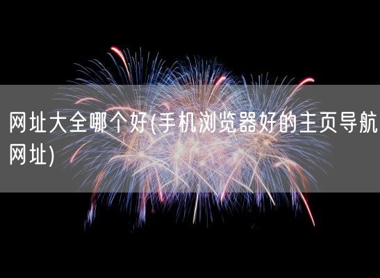 网址大全哪个好(手机浏览器好的主页导航网址)(图1)