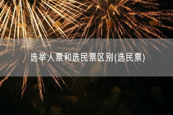 选举人票和选民票区别(选民票)(图1)