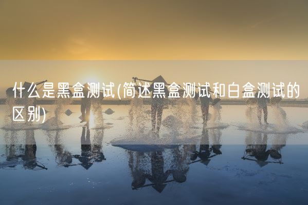 什么是黑盒测试(简述黑盒测试和白盒测试的区别)(图1)