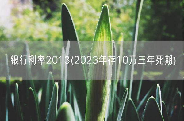 银行利率2013(2023年存10万三年死期)(图1)