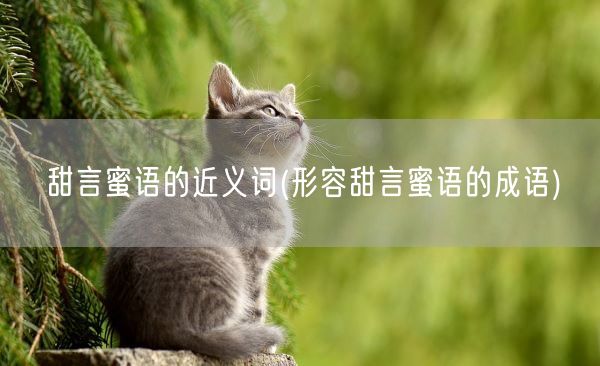 甜言蜜语的近义词(形容甜言蜜语的成语)(图1)