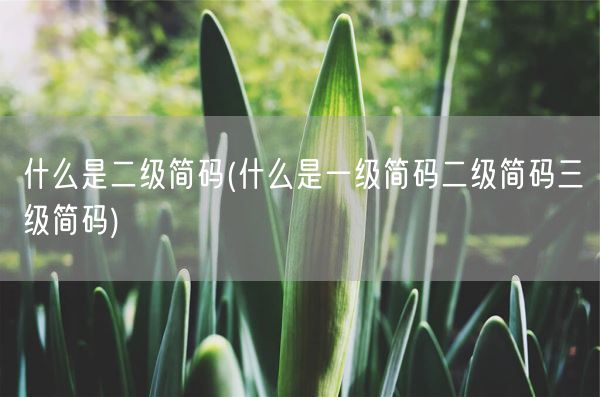 什么是二级简码(什么是一级简码二级简码三级简码)(图1)