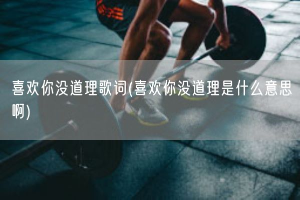 喜欢你没道理歌词(喜欢你没道理是什么意思啊)(图1)