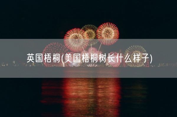 英国梧桐(美国梧桐树长什么样子)(图1) 英国梧桐(美国梧桐树长什么样子)(图1)