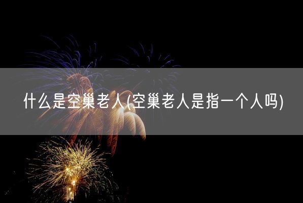 什么是空巢老人(空巢老人是指一个人吗)(图1)