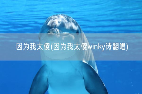 因为我太傻(因为我太傻winky诗翻唱)(图1)