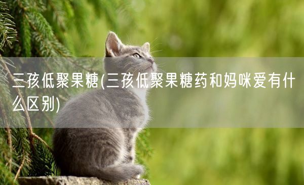 三孩低聚果糖(三孩低聚果糖药和妈咪爱有什么区别)(图1)