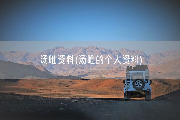 汤唯资料(汤唯的个人资料)(图1)