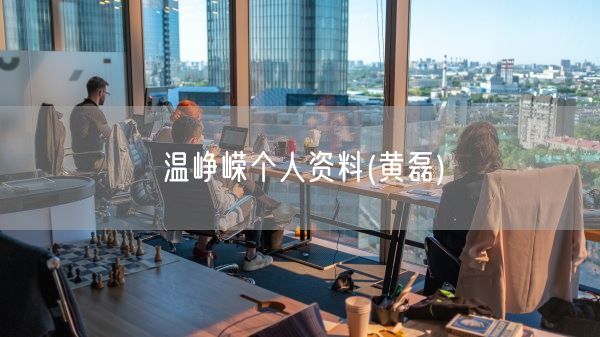 温峥嵘个人资料(黄磊)(图1)
