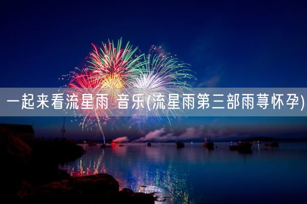 一起来看流星雨 音乐(流星雨第三部雨荨怀孕)(图1) 一起来看流星雨 音乐(流星雨第三部雨荨怀孕)(图1)