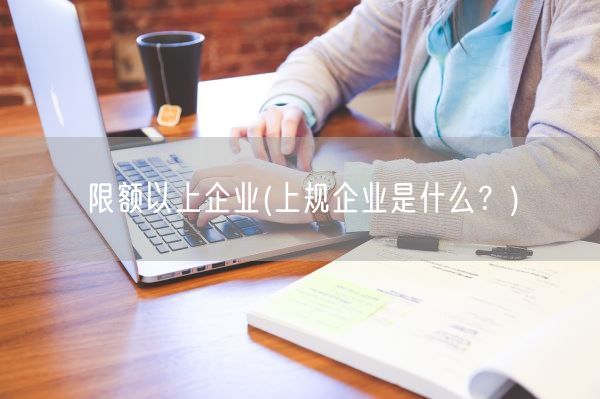 限额以上企业(上规企业是什么？)(图1)