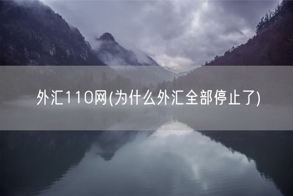 外汇110网(为什么外汇全部停止了)(图1)