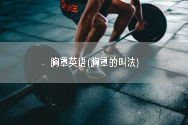 胸罩英语(胸罩的叫法)(图1)