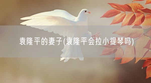 袁隆平的妻子(袁隆平会拉小提琴吗)(图1)