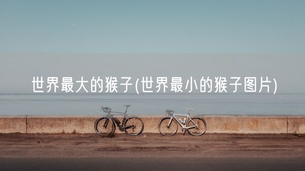 世界最大的猴子(世界最小的猴子图片)(图1)