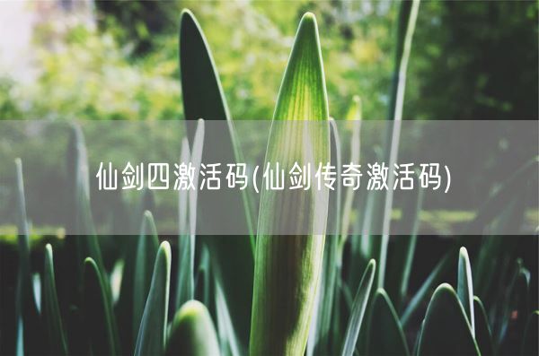 仙剑四激活码(仙剑传奇激活码)(图1)