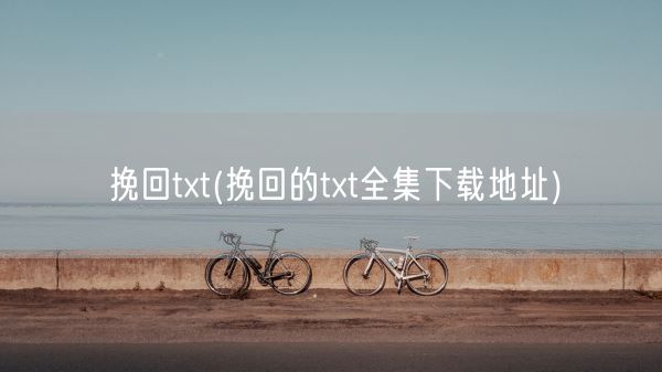 挽回txt(挽回的txt全集下载地址)(图1)