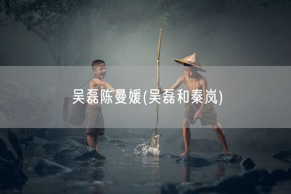 吴磊陈曼媛(吴磊和秦岚)(图1)