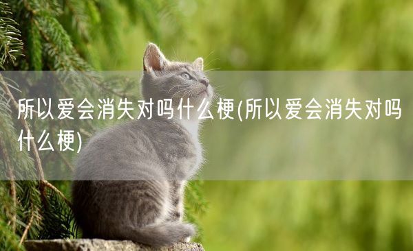 所以爱会消失对吗什么梗(所以爱会消失对吗什么梗)(图1)