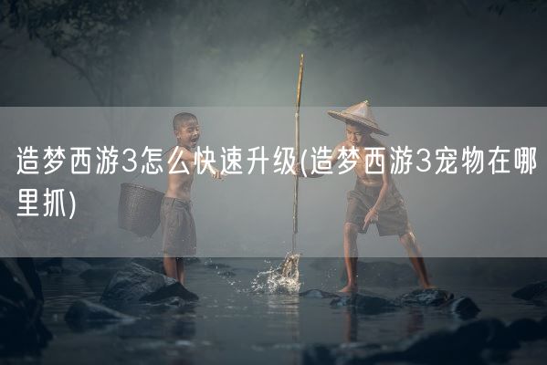 造梦西游3怎么快速升级(造梦西游3宠物在哪里抓)(图1)