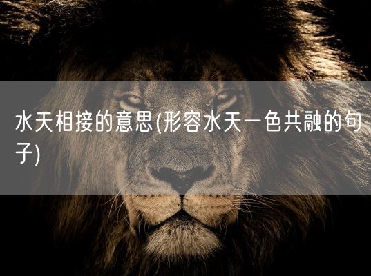 水天相接的意思(形容水天一色共融的句子)(图1)