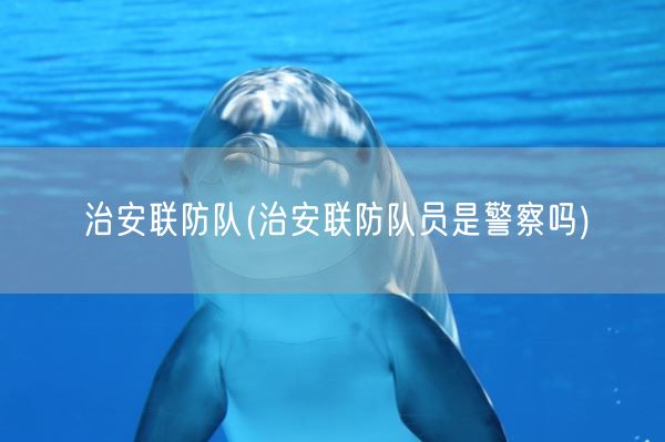 治安联防队(治安联防队员是警察吗)(图1)
