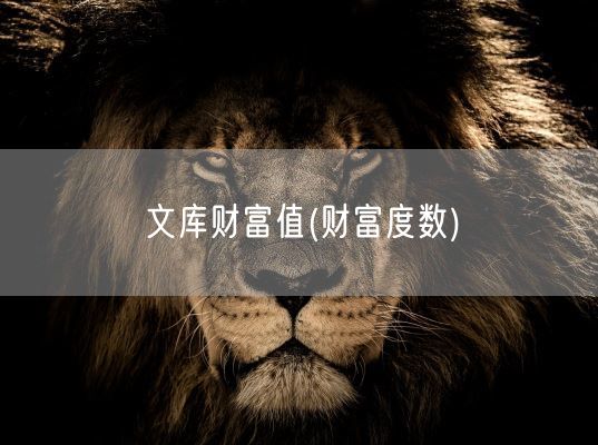 文库财富值(财富度数)(图1) 文库财富值(财富度数)(图1)