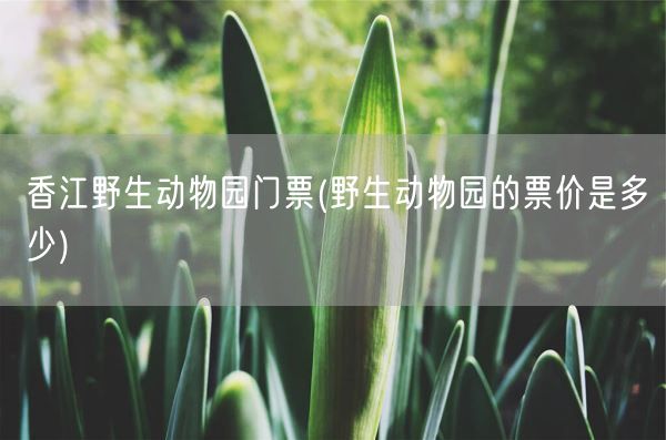 香江野生动物园门票(野生动物园的票价是多少)(图1)