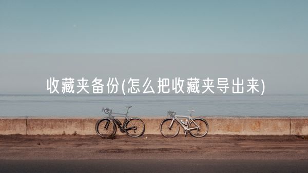 收藏夹备份(怎么把收藏夹导出来)(图1)
