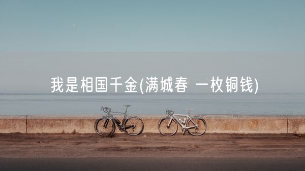 我是相国千金(满城春 一枚铜钱)(图1)